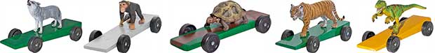 Animal Cars